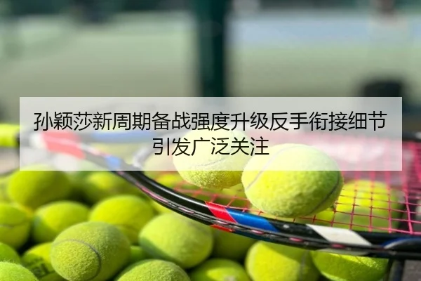 孙颖莎新周期备战强度升级反手衔接细节引发广泛关注