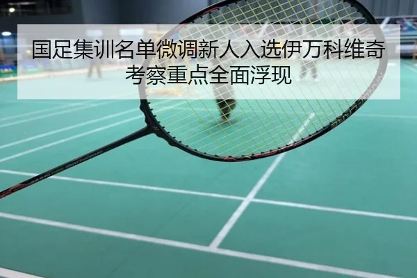 国足集训名单微调新人入选伊万科维奇考察重点全面浮现